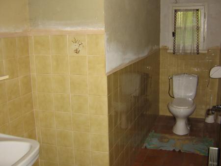 La salle d'eau avec wc
